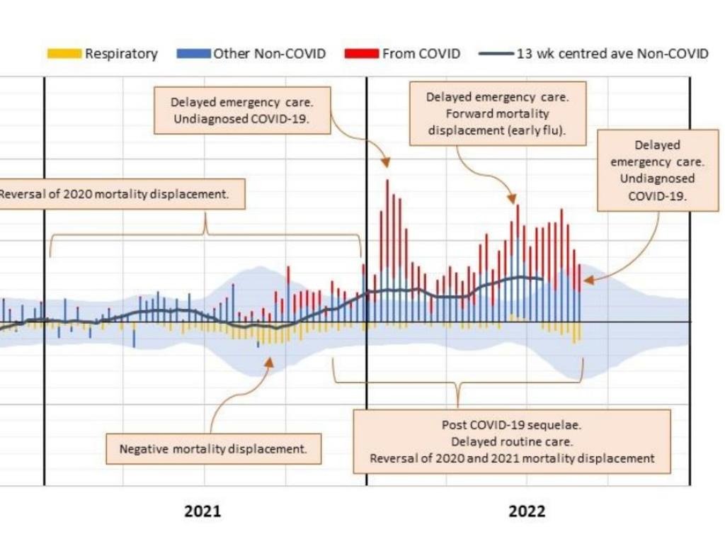 Possible causes of non-Covid excess deaths in Australia. Source: Actuaries Institute